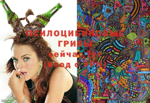 первитин Костерёво