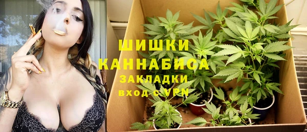 амф Козловка