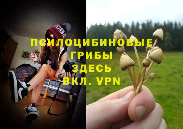 герыч Корсаков