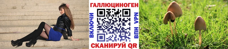 Купить  Заполярный  Псилоцибиновые грибы мухоморы 